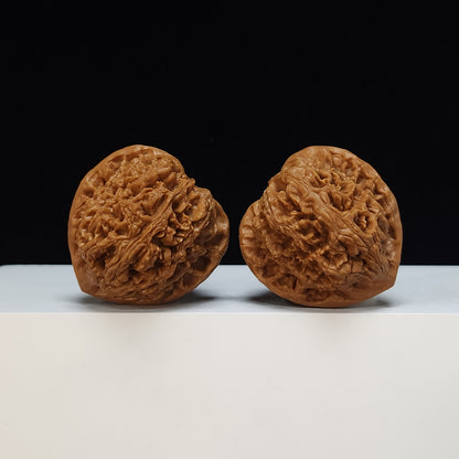 The "Peach-Heart Water Dragon" Tao Xin Shui Long Wen Lion's Head Pair | SSS-Grade Museum Tier | 43.0mm x 44.0mm | SZ-SSS-002486