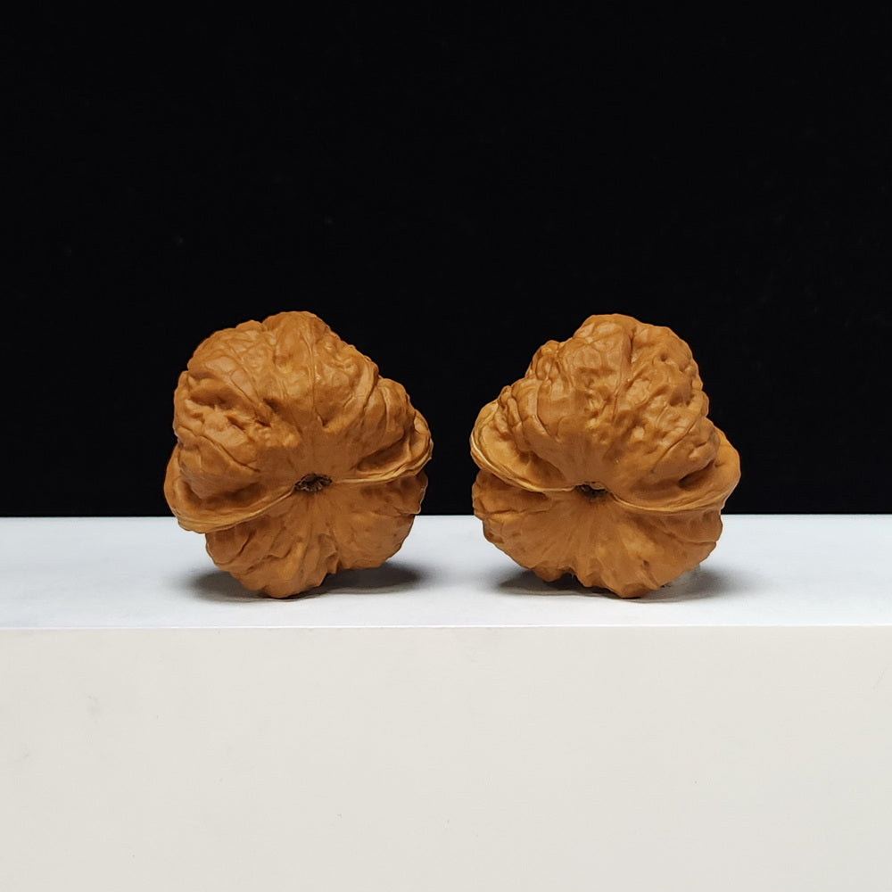 The "Red Shell Toad Head" (Hong Ke Ha Ma Tou) Ultimate Symmetrical Pair | 41.0mm x 42.0mm | HMT-SS-001508