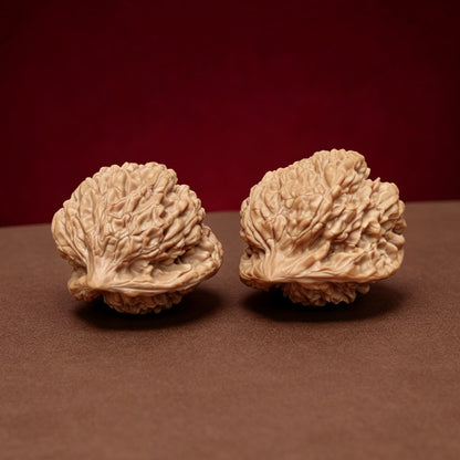 The "Kylin Turtle-Back Seated Buddha" (Kylin Wen Gui Bei Zuo Fo) Exhibition-Grade Symmetrical Masterpiece Pair | 44.0mm x 43.0mm | YX-E-047525