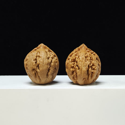 The "Jurassic King" (Tyrannosaurus Rex Lion's Head) AA-Grade 1:1 Pair | 38.0mm x 39.0mm | BWL-AA-001141