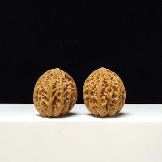 The "Iron Buffalo" (Compact Wild Buffalo) A-Grade 1:1 Pair | 35.0mm x 35.0mm | SZ-A-009134