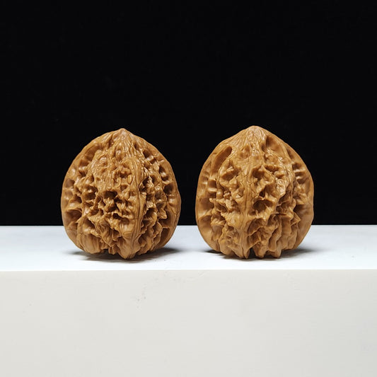The "Wild Buffalo" (Rugged Bone Lion's Head) A-Grade 1:1 Pair | 39.0mm x 39.0mm | SZ-A-008133