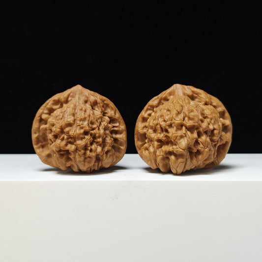 The "Monarch's Crown" (Grand Official Hat) AA-Grade Elite Pair | 50.0mm (Length) x 45.0mm (Width) | GM-AA-003130