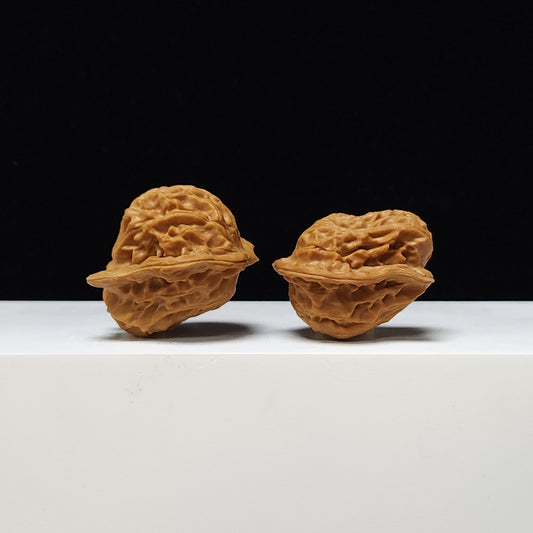 The "Little Dolphin" (Xiao Hai Tun) Ultimate Exotic Mutation Symmetrical Pair | Museum-Grade Natural Sculpture Collection | 37.0mm x 36.0mm | YX-AA-001119