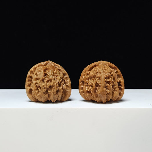 The "Gilded Trinity" (Triangle White Lion) A-Grade Pair | 36.0mm (Length) x 36.0mm (Width) | BSZ-A-003103