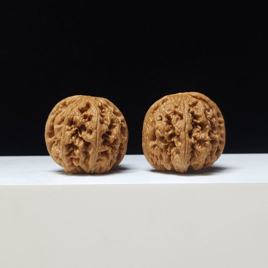 The "Iron Sinew" (Bold Vein Lion's Head) A-Grade 1:1 Matched Pair | 37.0mm (Length) x 38.0mm (Width) | SZ-A-003082