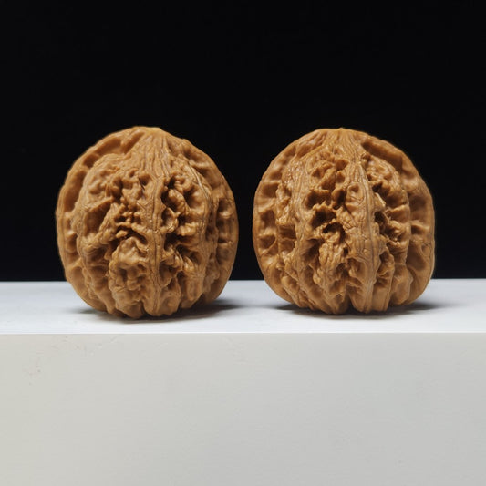 The "Titan Sinew" (Grand Bold Vein Lion's Head) A-Grade Power Pair | 44.0mm (Length) x 45.0mm (Width) | SZ-A-005084