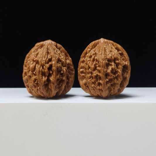 The "Harvest Shield" (Wheat-Ear Tiger Head) AA-Grade Pair | 42.0mm (Length) x 40.0mm (Width) | HT-AA-003180