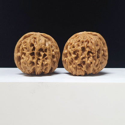 The "Hundred Beasts Lion Head" Collector Pair | AA-Grade Collector Tier | 44.0mm x 44.0mm | BS-AA-002639