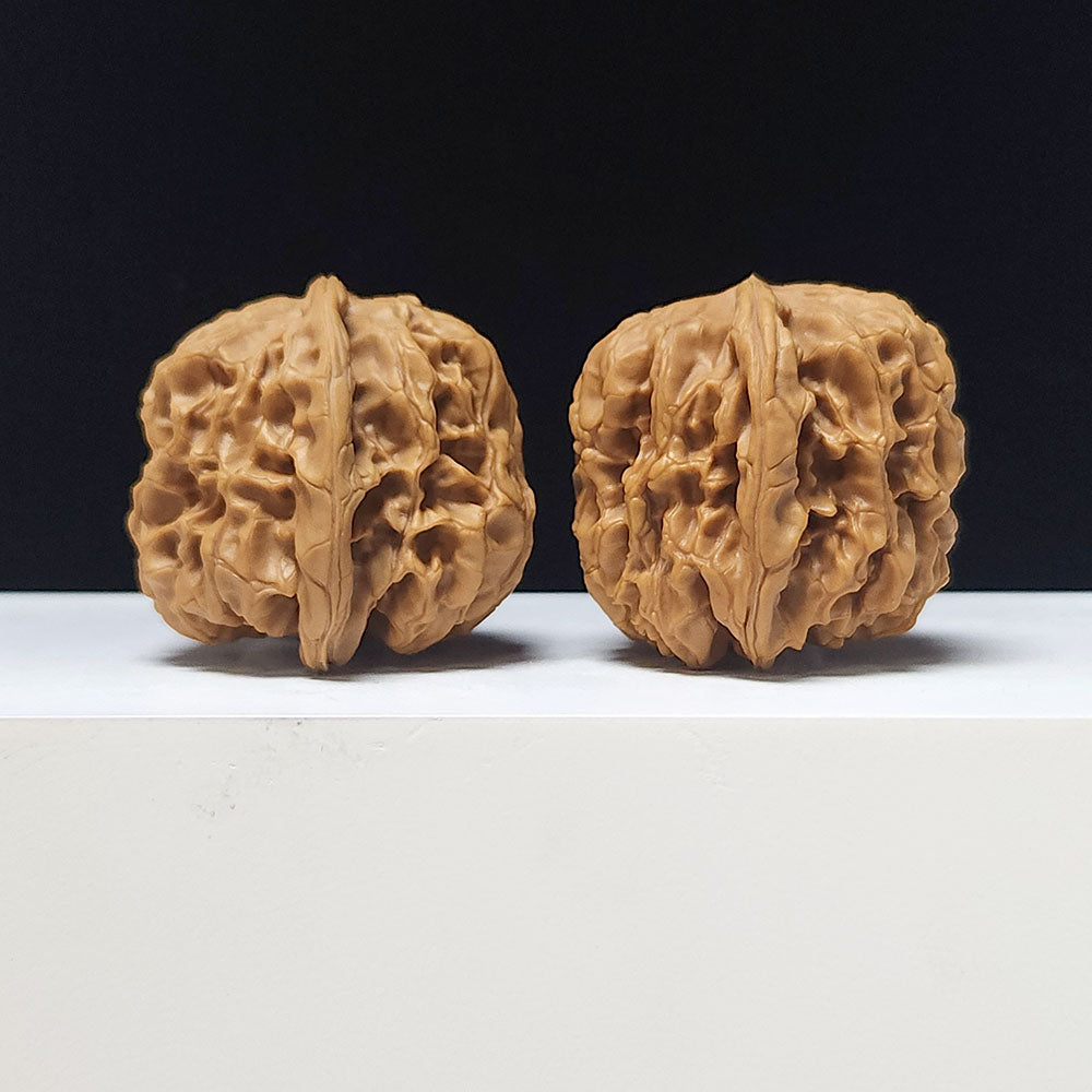 The "Hundred Beasts Lion Head" Collector Pair | AA-Grade Collector Tier | 44.0mm x 44.0mm | BS-AA-002639