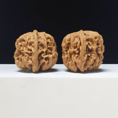 The "Hundred Beasts Lion Head" Collector Pair | AA-Grade Collector Tier | 44.0mm x 44.0mm | BS-AA-002639