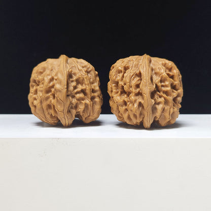 The "Hundred Beasts Lion Head" Collector Pair | AA-Grade Collector Tier | 44.0mm x 44.0mm | BS-AA-002639