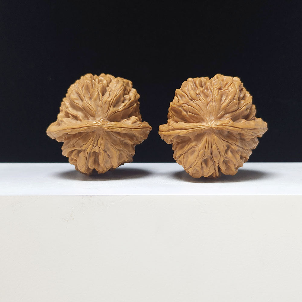 The "Hundred Beasts Lion Head" Collector Pair | AA-Grade Collector Tier | 44.0mm x 44.0mm | BS-AA-002639