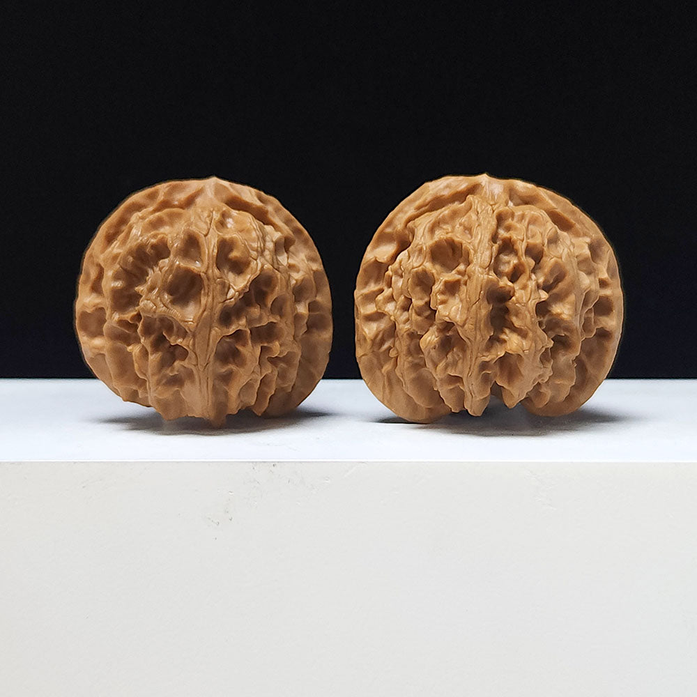 The "Hundred Beasts Lion Head" Collector Pair | AA-Grade Collector Tier | 43.0mm x 41.0mm | BS-AA-001638
