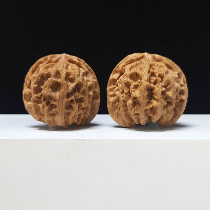The "Hundred Beasts Lion Head" Collector Pair | AA-Grade Collector Tier | 43.0mm x 41.0mm | BS-AA-001638