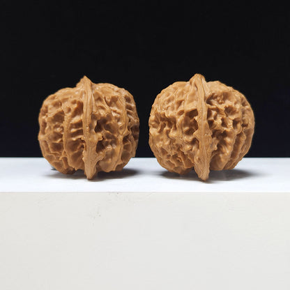 The "Hundred Beasts Lion Head" Collector Pair | AA-Grade Collector Tier | 43.0mm x 41.0mm | BS-AA-001638