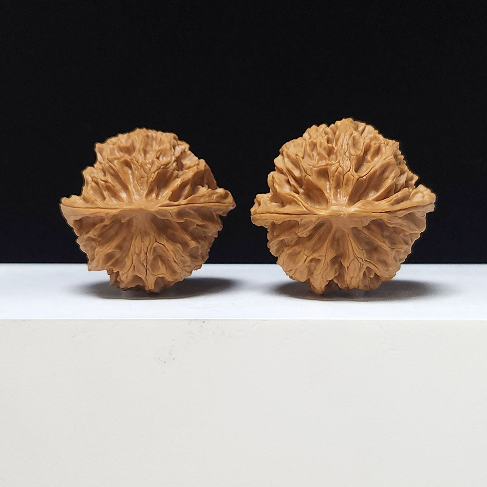 The "Hundred Beasts Lion Head" Collector Pair | AA-Grade Collector Tier | 43.0mm x 41.0mm | BS-AA-001638
