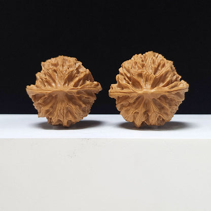 The "Hundred Beasts Lion Head" Collector Pair | AA-Grade Collector Tier | 43.0mm x 41.0mm | BS-AA-001638