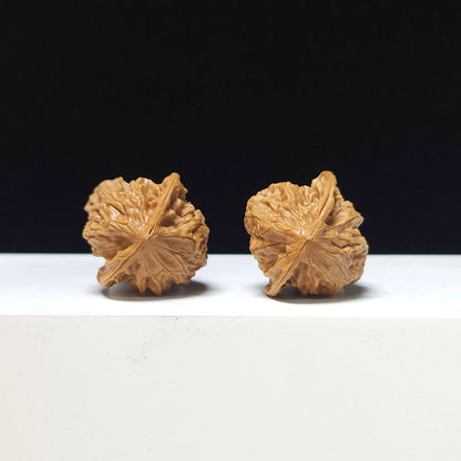 The "White Snake Valley Hand-Twister" Collector Pair | A-Grade Collector Tier | 30.0mm x 30.0mm | GM-A-020632