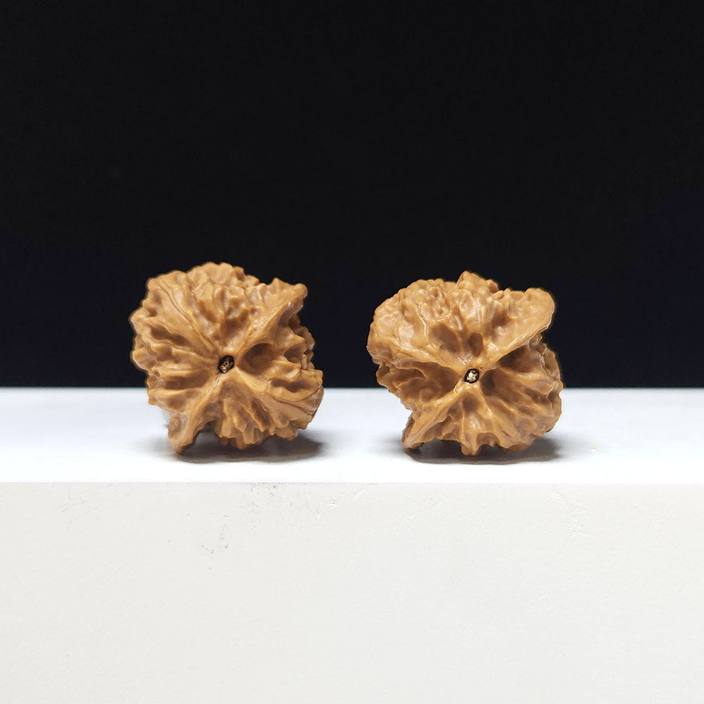 The "White Snake Valley Hand-Twister" Collector Pair | A-Grade Collector Tier | 30.0mm x 30.0mm | GM-A-020632
