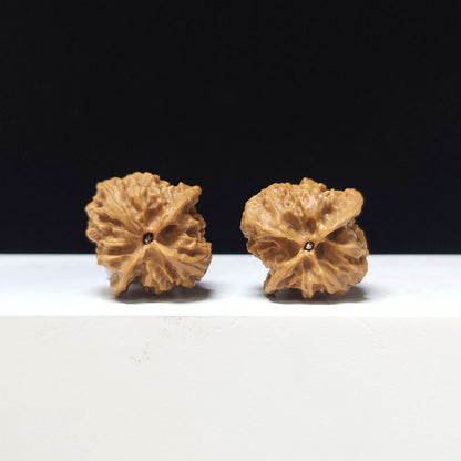 The "White Snake Valley Hand-Twister" Collector Pair | A-Grade Collector Tier | 30.0mm x 30.0mm | GM-A-020632