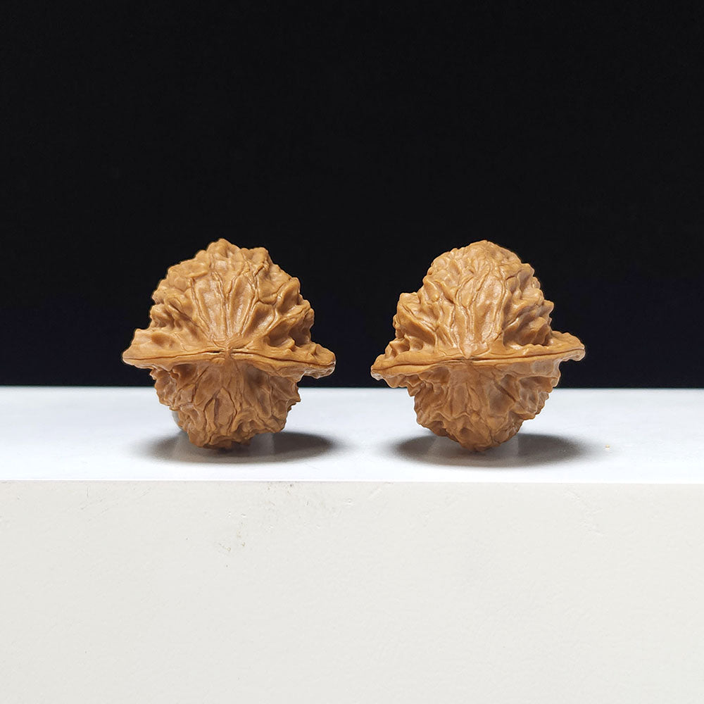 The "White Snake Valley Hand-Twister" Collector Pair | A-Grade Collector Tier | 30.0mm x 30.0mm | GM-A-020632