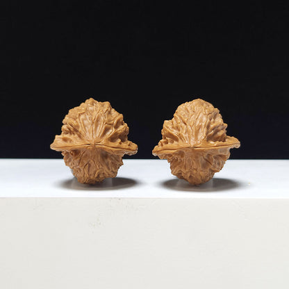 The "White Snake Valley Hand-Twister" Collector Pair | A-Grade Collector Tier | 30.0mm x 30.0mm | GM-A-020632