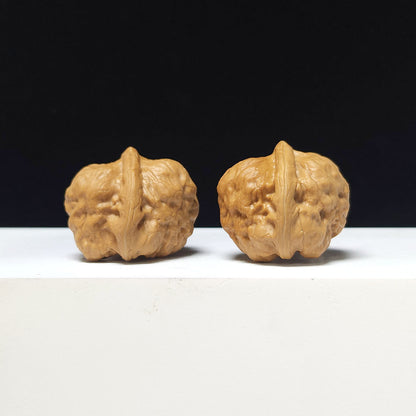 The "Ancient Toad x Stone Frog" Collector Pair | AA-Grade Collector Tier | 34.0mm x 38.0mm | SZ-AA-050619