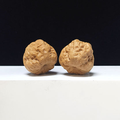 The "Ancient Toad x Stone Frog" Collector Pair | AA-Grade Collector Tier | 35.0mm x 35.0mm | SZ-AA-048617