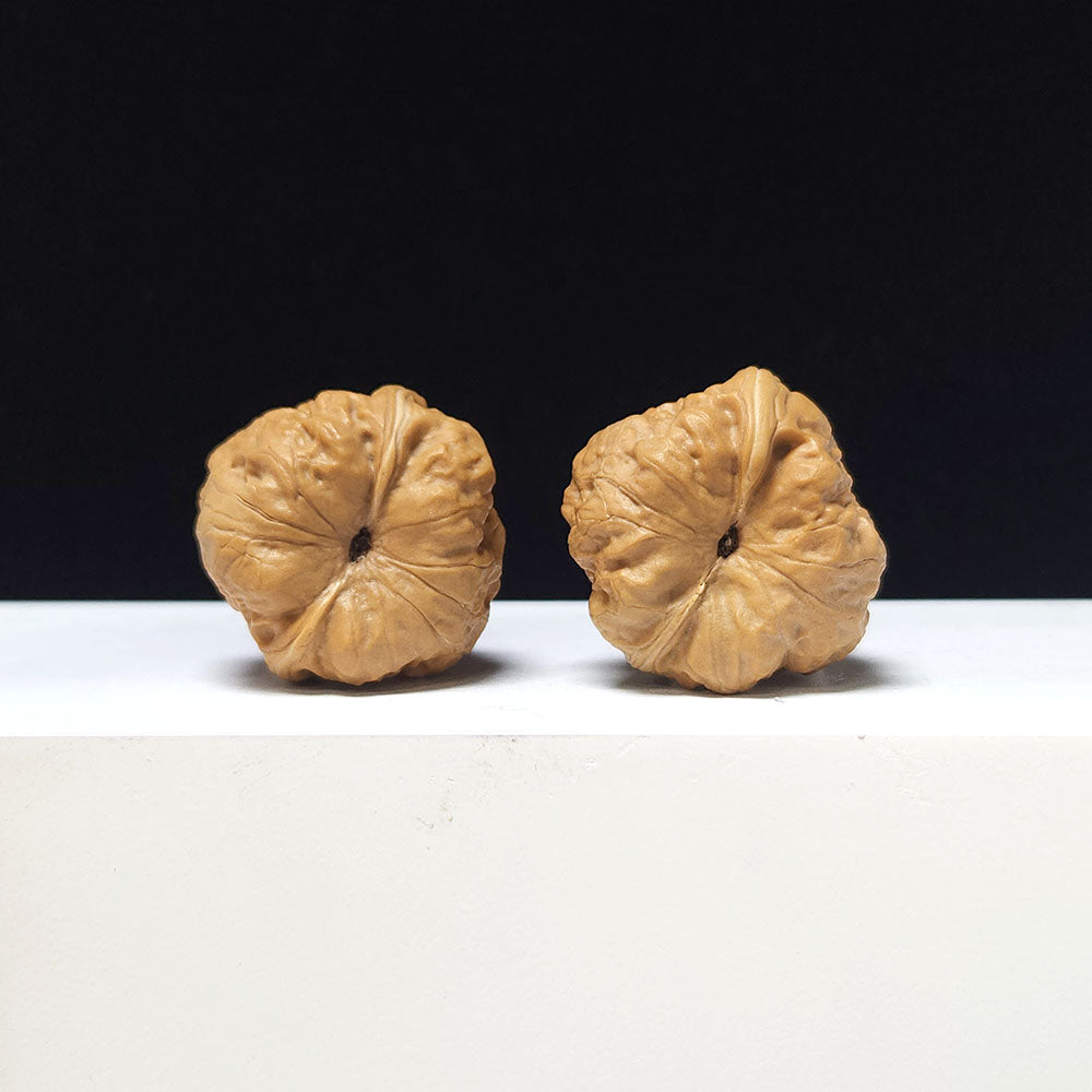 The "Ancient Toad x Stone Frog" Collector Pair | AA-Grade Collector Tier | 35.0mm x 35.0mm | SZ-AA-048617