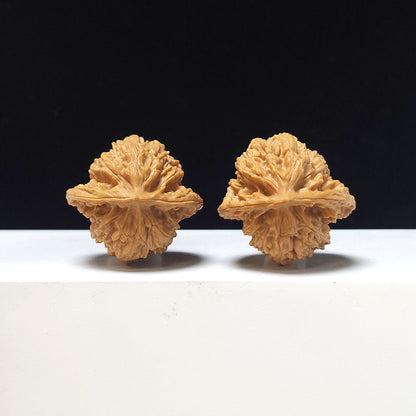 "Xia Yun Ling Peach Heart" Xia Yun Ling Tao Xin Wenwan Walnut Pair | 37.0mm x 36.0mm | SZ-AA-046614