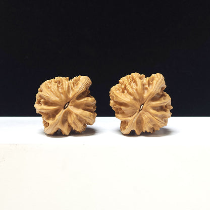 The "Xia Yun Ling" Collector Pair | AA-Grade Collector Tier | 38.0mm x 35.0mm | SZ-AA-045613