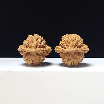 The "Xia Yun Ling" Collector Pair | AA-Grade Collector Tier | 38.0mm x 35.0mm | SZ-AA-045613