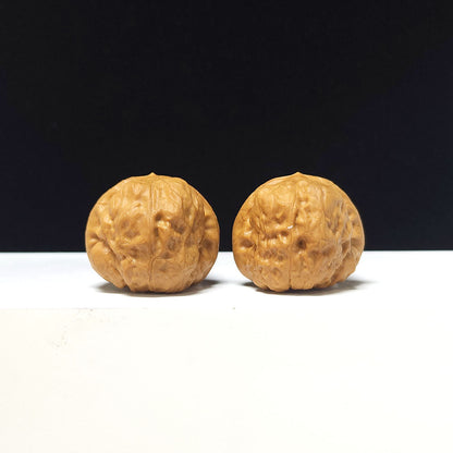 The "Ancient Toad Hand-Twister" Collector Pair | AA-Grade Collector Tier | 34.0mm x 37.0mm | SZ-AA-047616