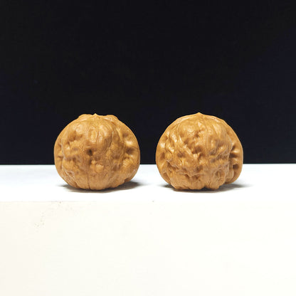 The "Ancient Toad Hand-Twister" Collector Pair | AA-Grade Collector Tier | 34.0mm x 37.0mm | SZ-AA-047616