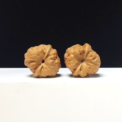 The "Ancient Toad Hand-Twister" Collector Pair | AA-Grade Collector Tier | 34.0mm x 37.0mm | SZ-AA-047616