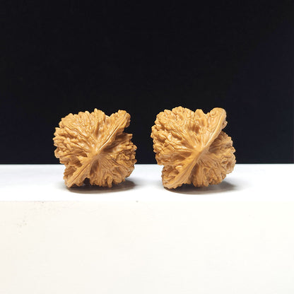 The "Xia Yun Ling" Collector Pair | A-Grade Collector Tier | 37.0mm x 35.0mm | SZ-A-056612