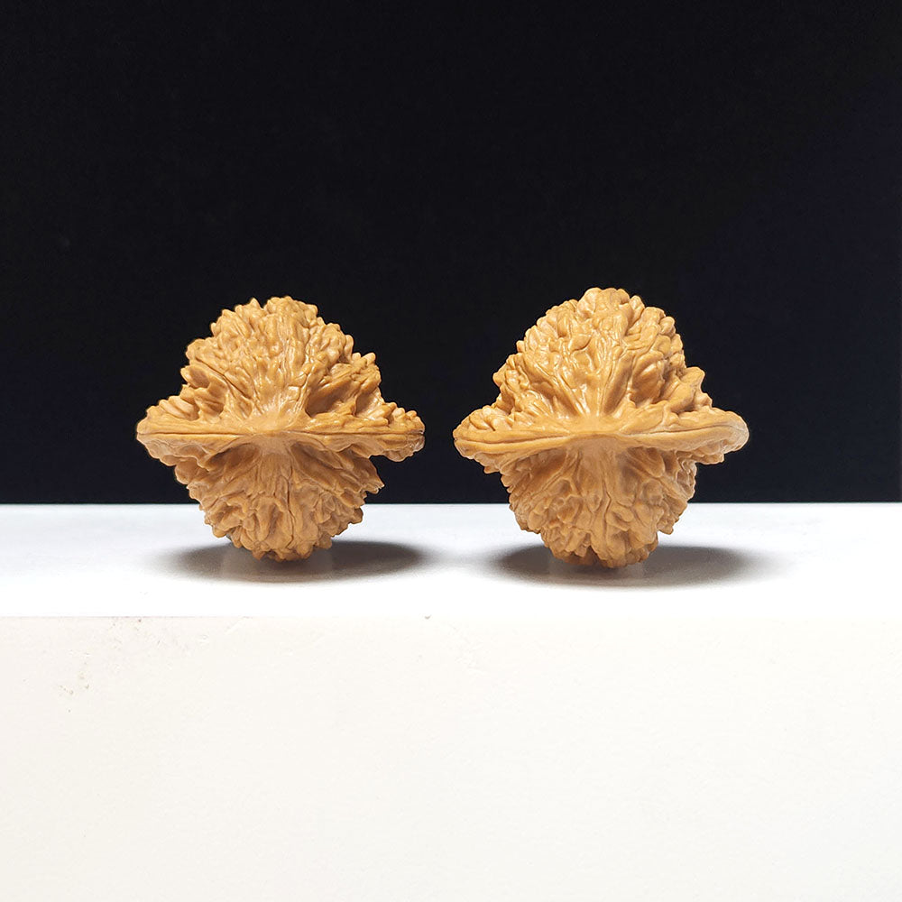 The "Xia Yun Ling" Collector Pair | A-Grade Collector Tier | 37.0mm x 35.0mm | SZ-A-056612