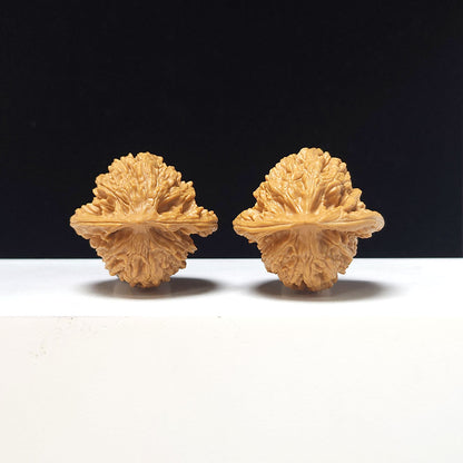 The "Xia Yun Ling" Collector Pair | A-Grade Collector Tier | 37.0mm x 35.0mm | SZ-A-056612