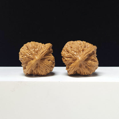The "Round Nanjiangshi" Collector Pair | AA-Grade Collector Tier | 39.0mm x 39.0mm | NJS-AA-012674