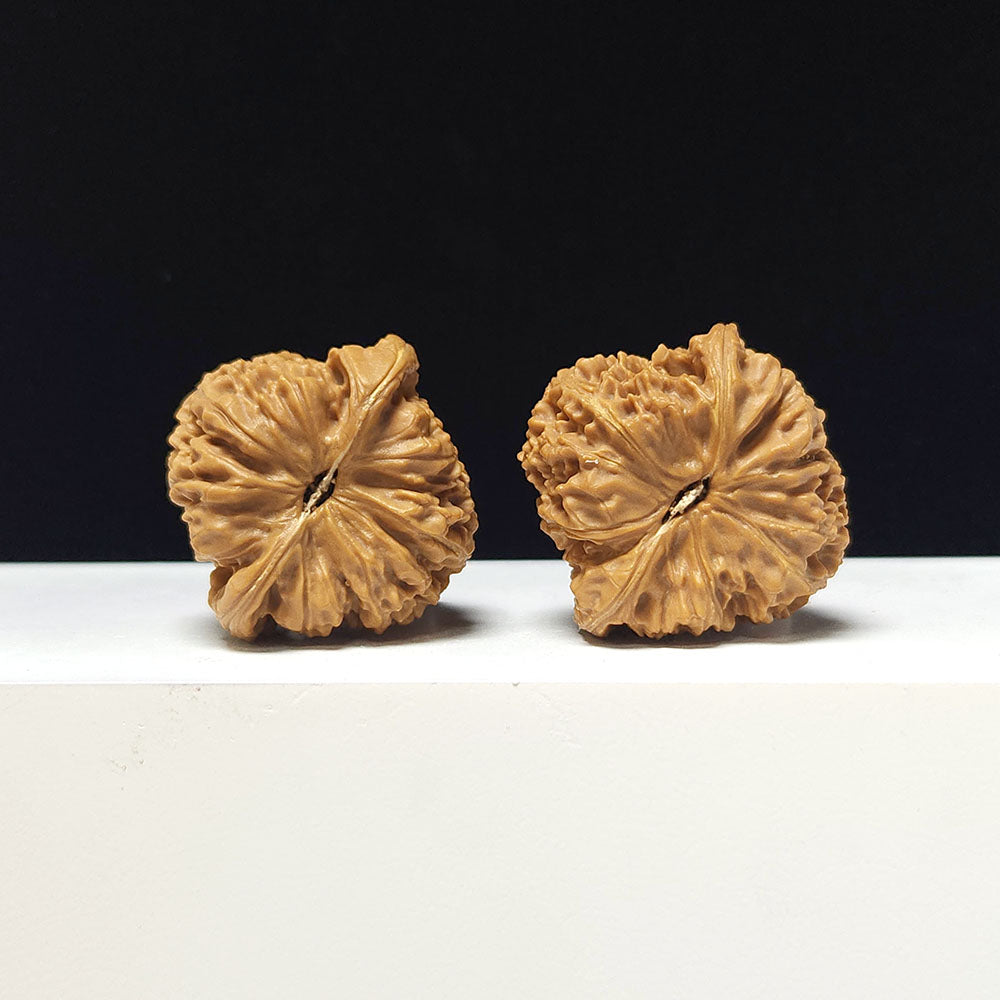 The "Round Nanjiangshi" Collector Pair | AA-Grade Collector Tier | 39.0mm x 39.0mm | NJS-AA-012674