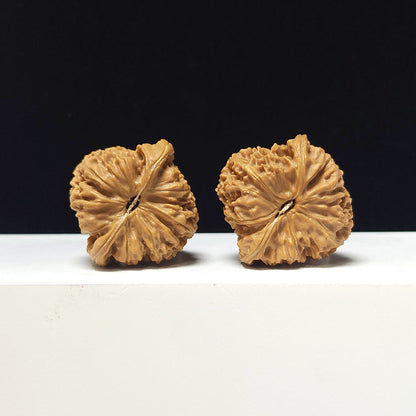 The "Round Nanjiangshi" Collector Pair | AA-Grade Collector Tier | 39.0mm x 39.0mm | NJS-AA-012674