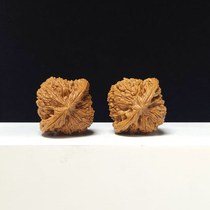 The "Triangle Concave-Base Nanjiangshi" Collector Pair | AA-Grade Collector Tier | 41.0mm x 39.0mm | NJS-AA-014676