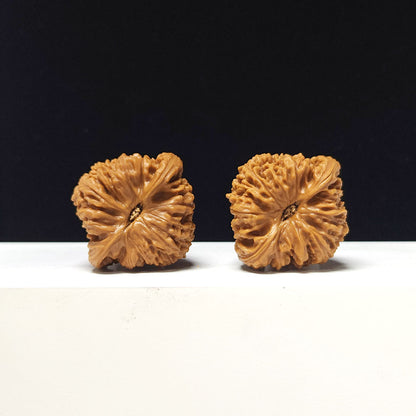 The "Triangle Concave-Base Nanjiangshi" Collector Pair | AA-Grade Collector Tier | 41.0mm x 39.0mm | NJS-AA-014676