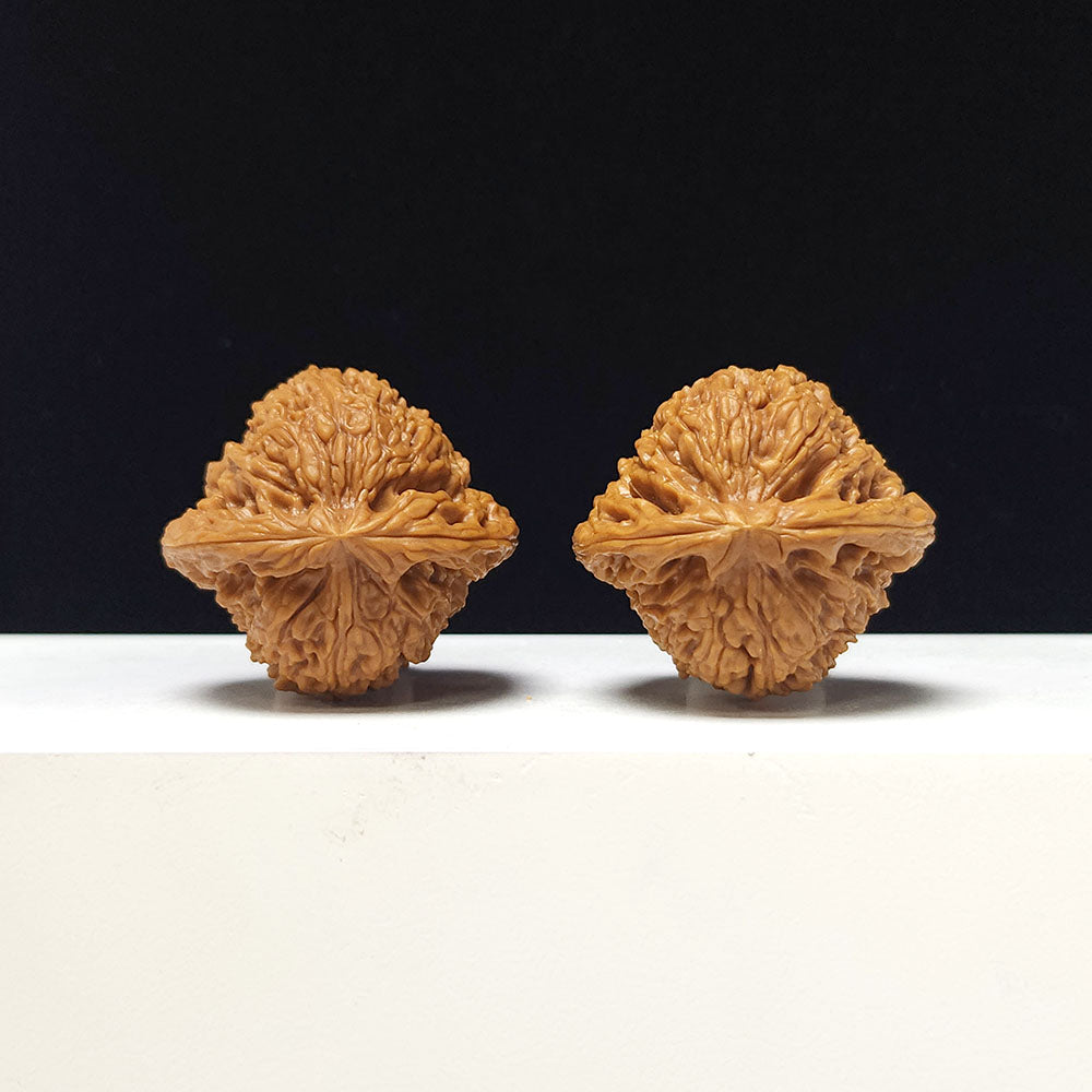 The "Triangle Concave-Base Nanjiangshi" Collector Pair | AA-Grade Collector Tier | 41.0mm x 39.0mm | NJS-AA-014676
