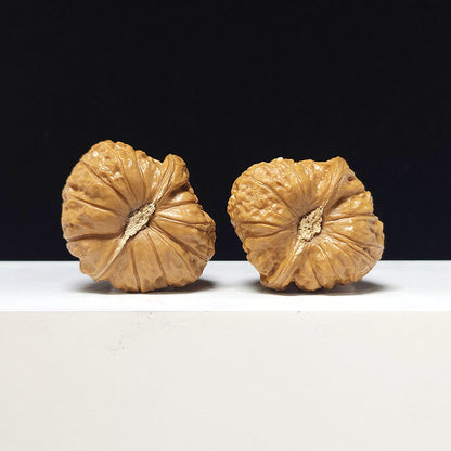 The "Concave-Base Pumpkin Block" Collector Pair | AA-Grade Collector Tier | 39.0mm x 42.0mm | SZ-AA-051627