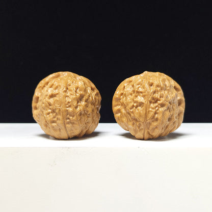The "Pumpkin Block" Collector Pair | A-Grade Collector Tier | 39.0mm x 43.0mm | SZ-A-058626