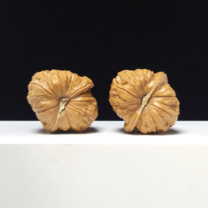 The "Pumpkin Block" Collector Pair | A-Grade Collector Tier | 39.0mm x 43.0mm | SZ-A-058626