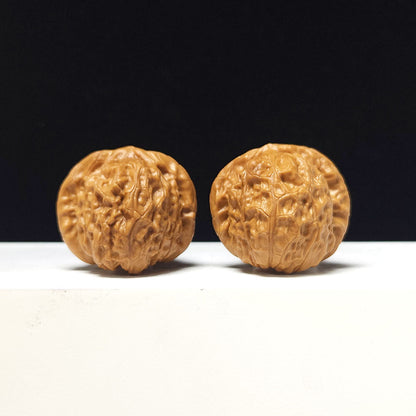 The "Little Pumpkin Block" Collector Pair | AA-Grade Collector Tier | 38.0mm x 40.0mm | SZ-AA-053629