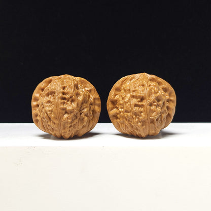 The "Little Pumpkin Block" Collector Pair | AA-Grade Collector Tier | 38.0mm x 40.0mm | SZ-AA-053629